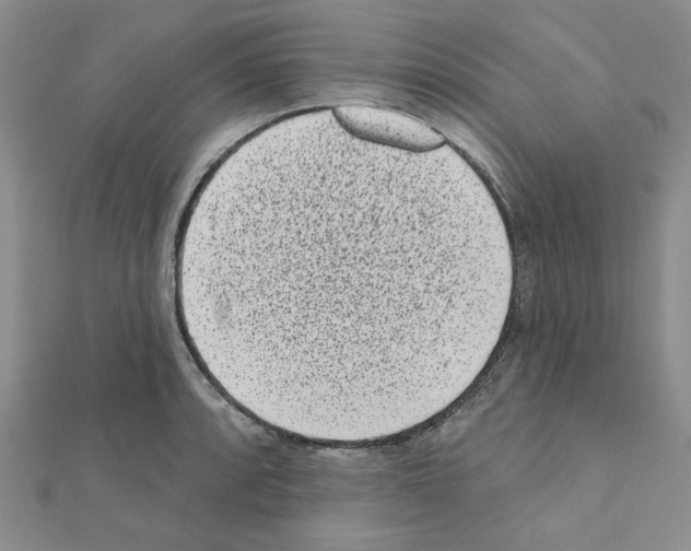 X0000110861088200907301347