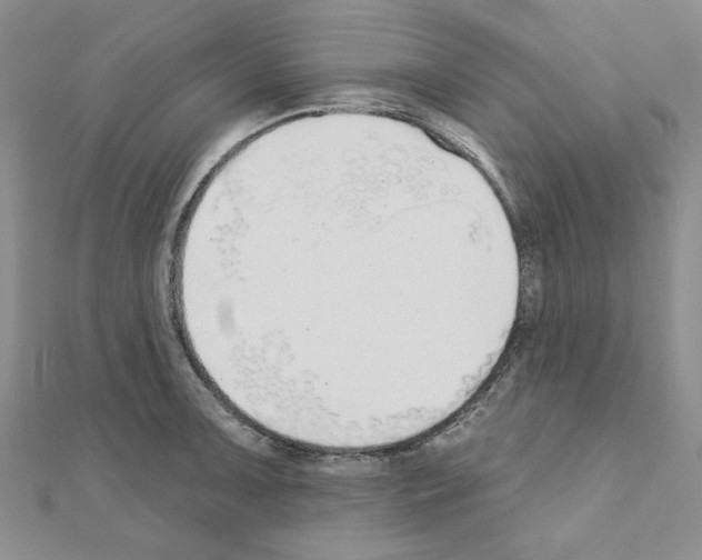X0000110861091200907301347