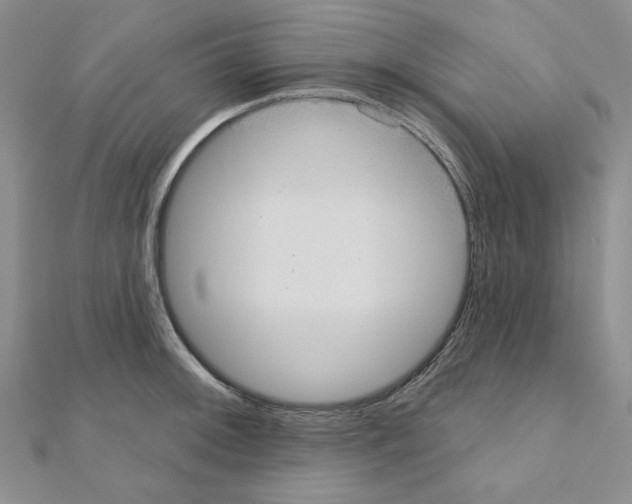 X0000110861092200907301347