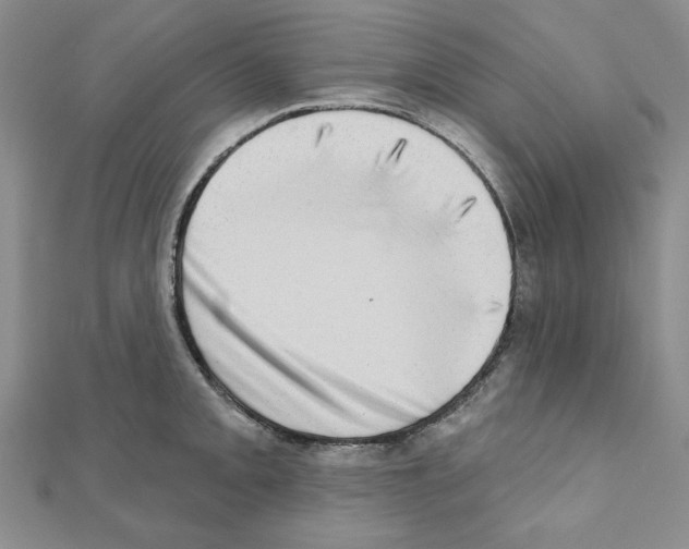 X0000110861093200907301347