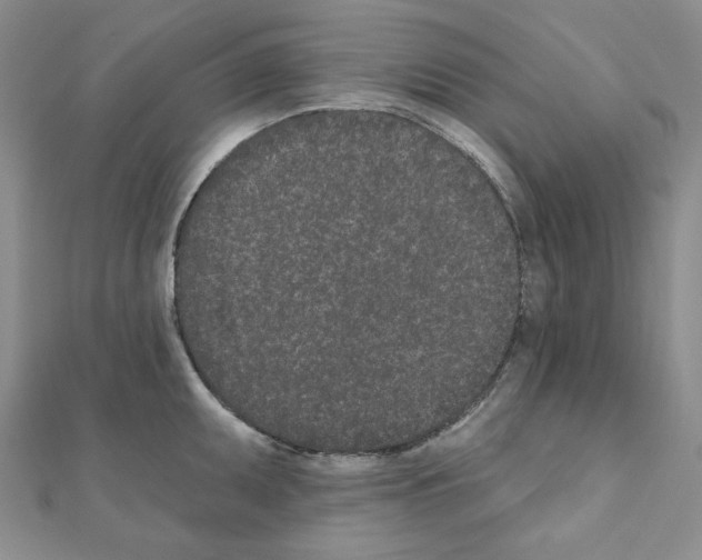 X0000110861095200907301347