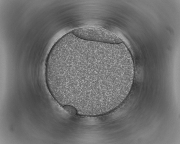 X0000110861096200907301347