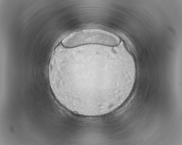 X0000110861097200907301347