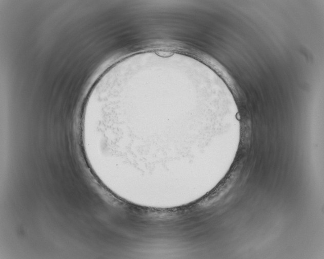 X0000110861099200907301347