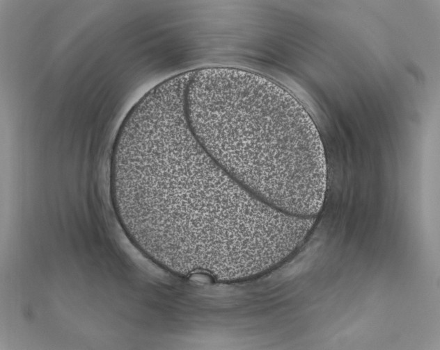 X0000110861100200907301347