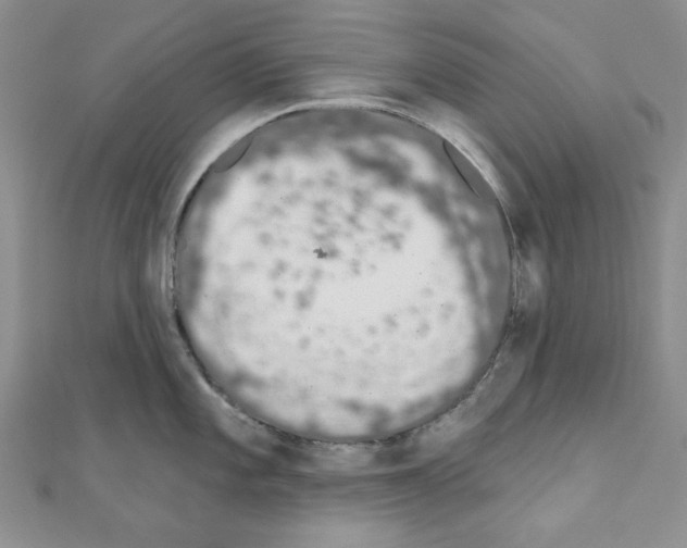 X0000110861101200907301347