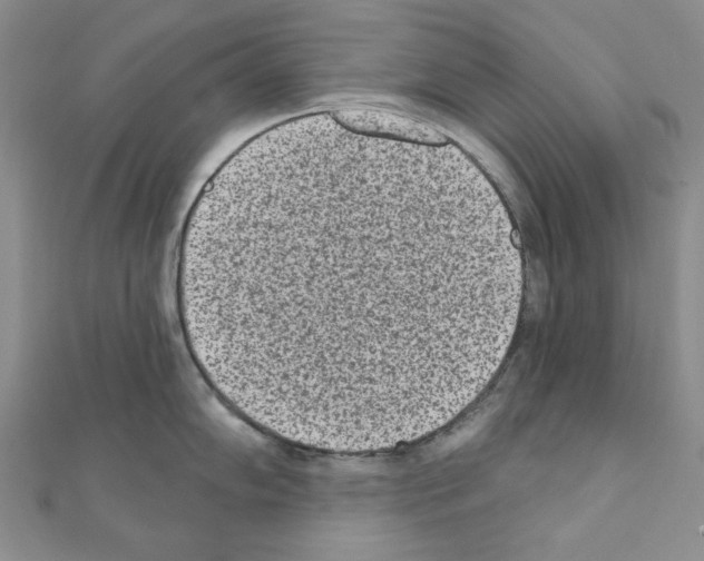 X0000110861102200907301347