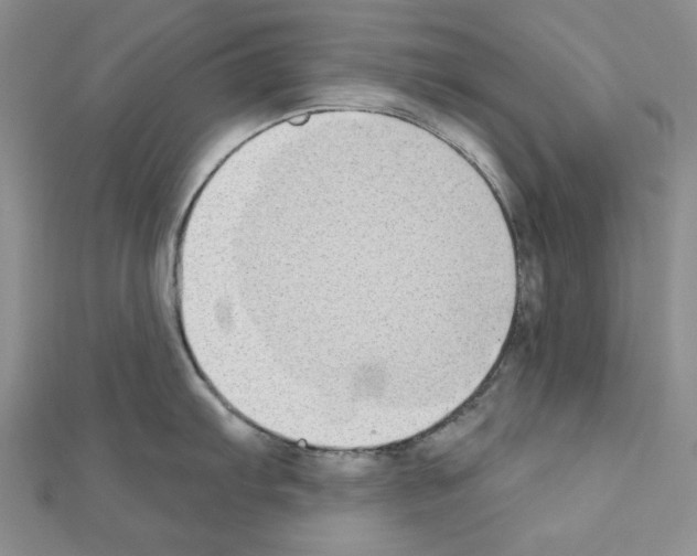 X0000110861103200907301347