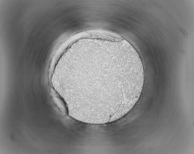 X0000110861104200907301347