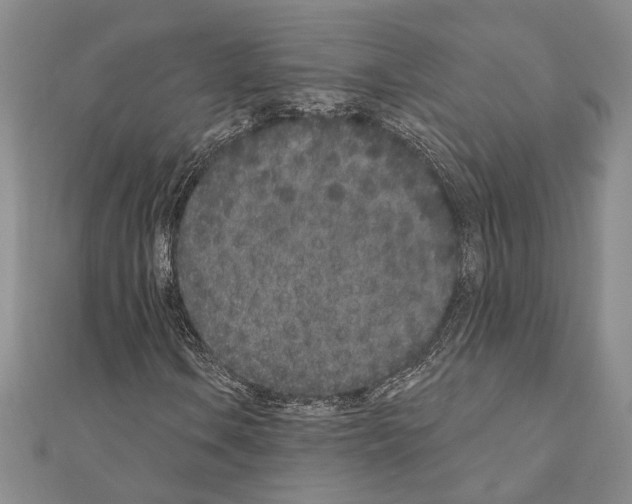 X0000110861106200907301346