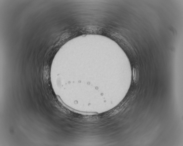 X0000110861107200907301346