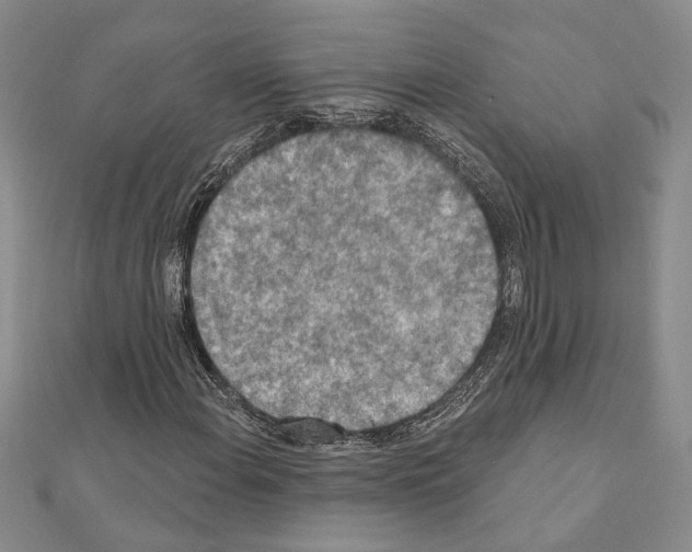 X0000110861108200907301346