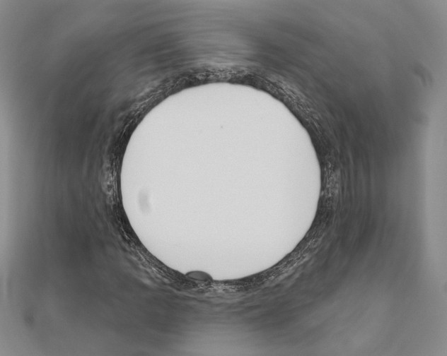 X0000110861109200907301346