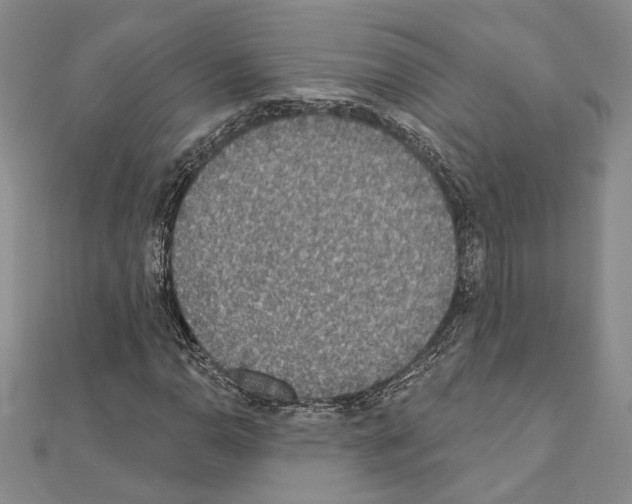 X0000110861110200907301346