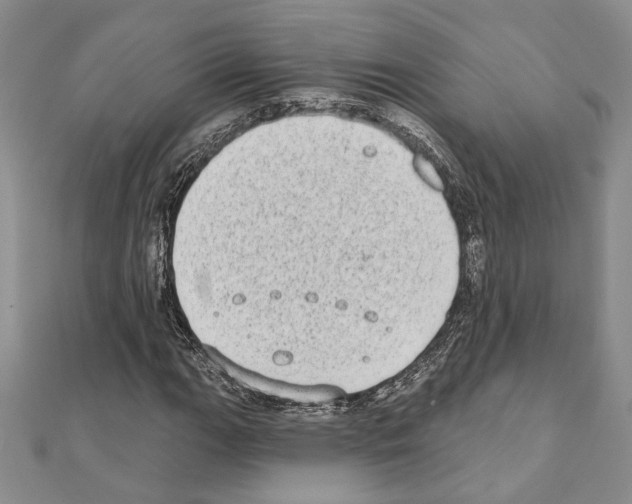 X0000110861111200907301346