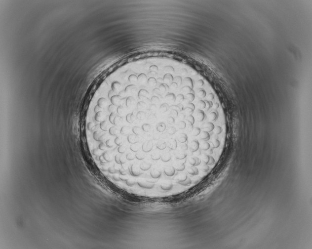 X0000110861113200907301346