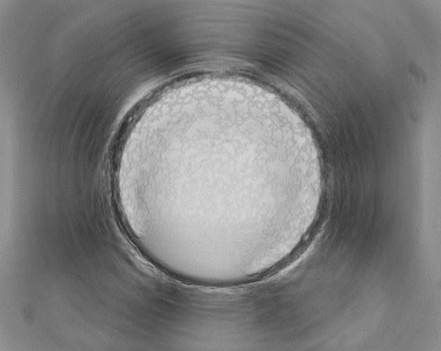 X0000110861114200907301346