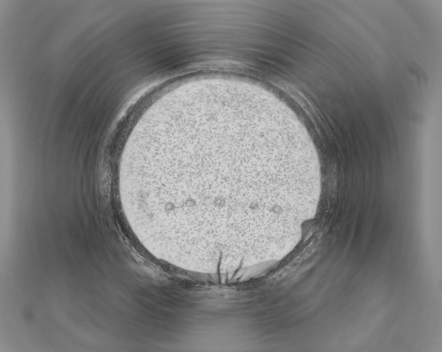 X0000110861115200907301346