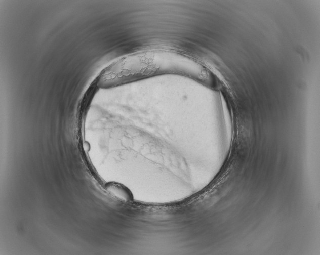 X0000110861116200907301346