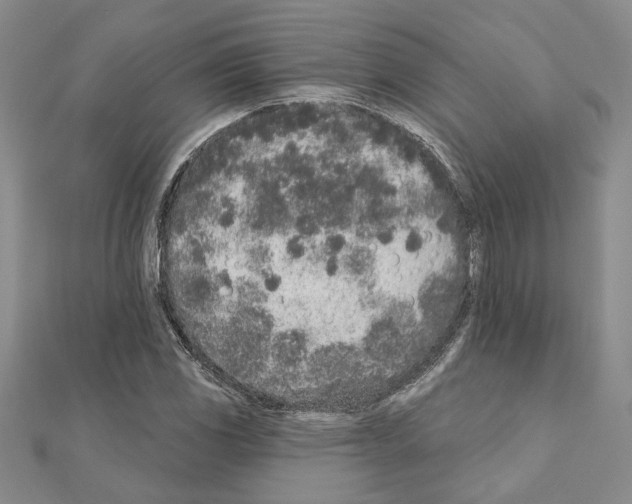 X0000110861117200907301346