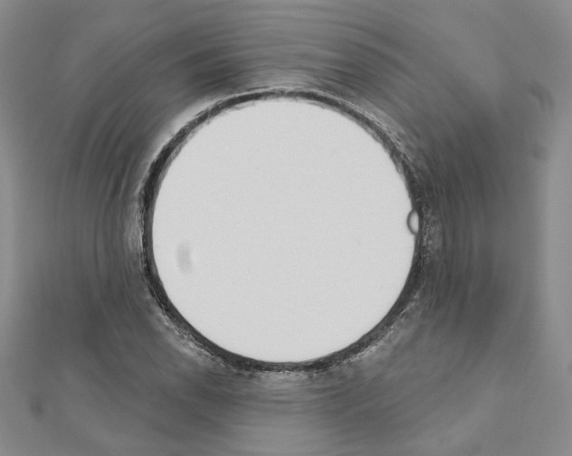 X0000110861118200907301346