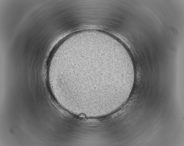 X0000110861119200907301346