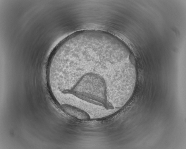 X0000110861120200907301346