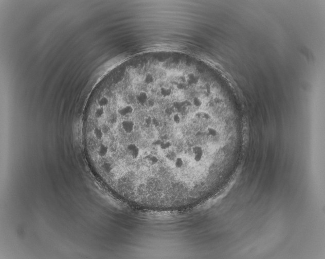 X0000110861121200907301346