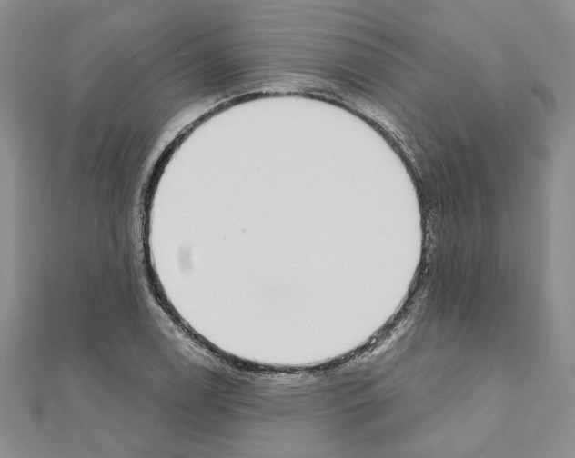 X0000110861122200907301346
