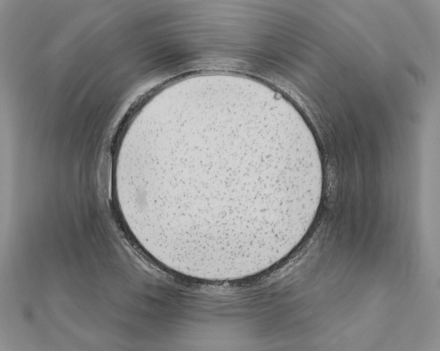 X0000110861123200907301346