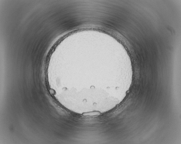 X0000110861124200907301346