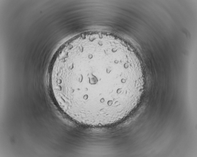 X0000110861125200907301346