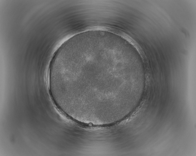 X0000110861127200907301346