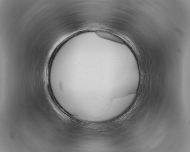 X0000110861128200907301346