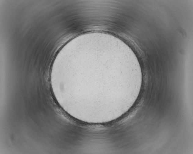 X0000110861129200907301346