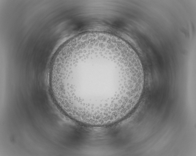 X0000110861130200907301346