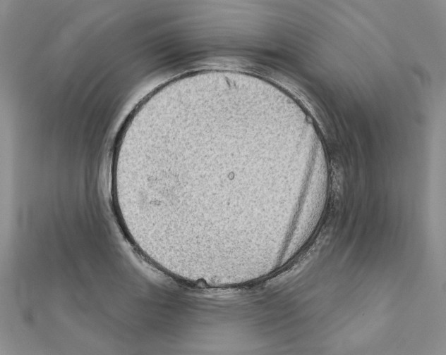 X0000110861131200907301346