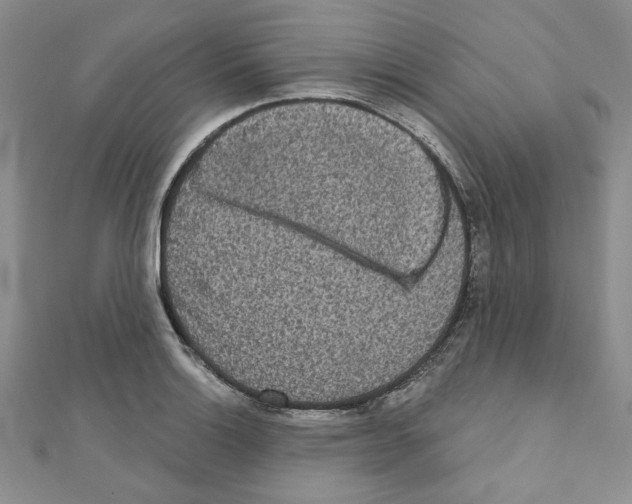 X0000110861132200907301346