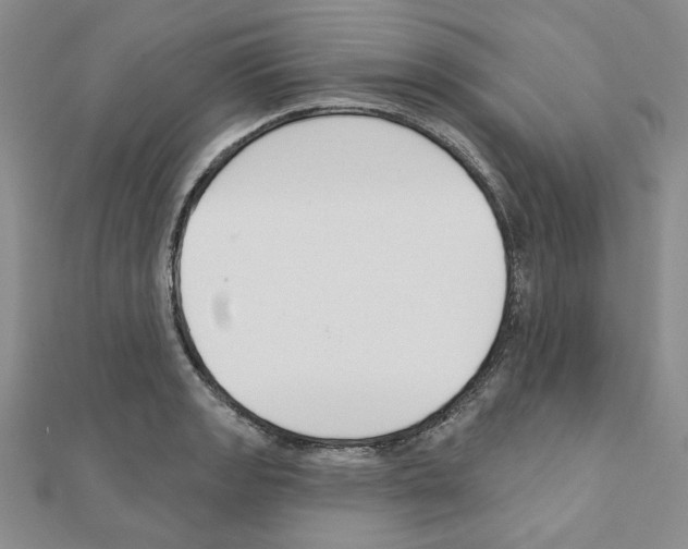 X0000110861133200907301346