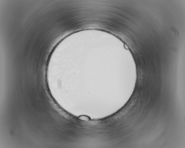 X0000110861134200907301346