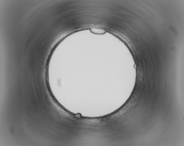X0000110861135200907301346