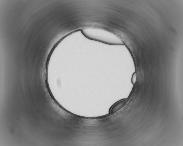 X0000110861136200907301346