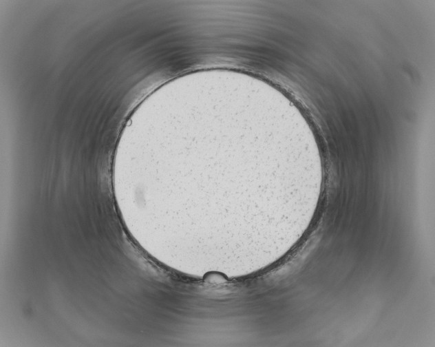 X0000110861137200907301346