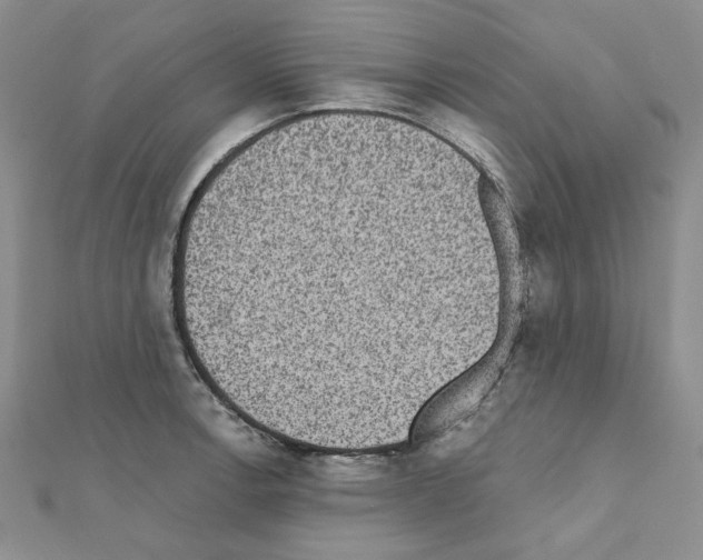 X0000110861138200907301346