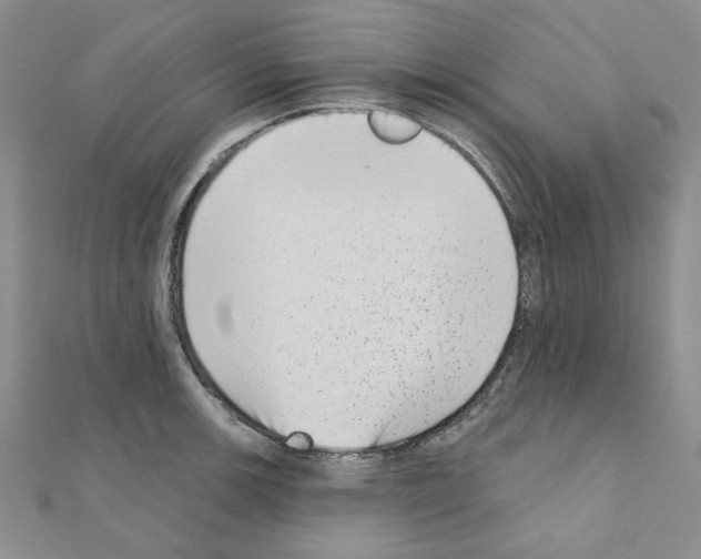 X0000110861139200907301346