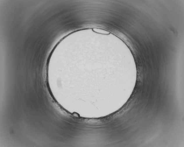 X0000110861140200907301346