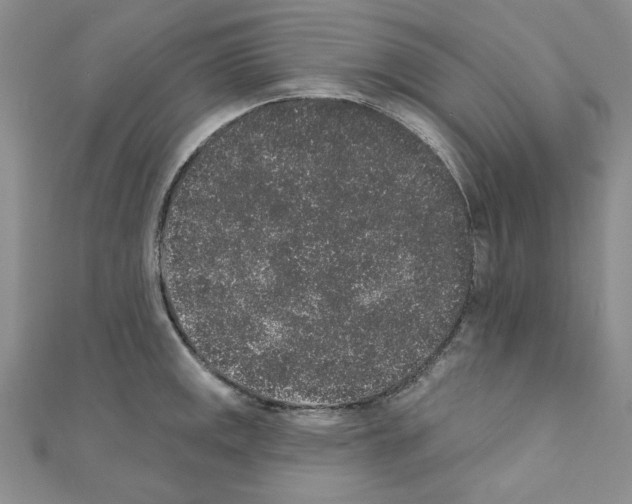 X0000110861141200907301346