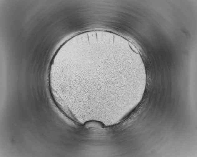 X0000110861142200907301346