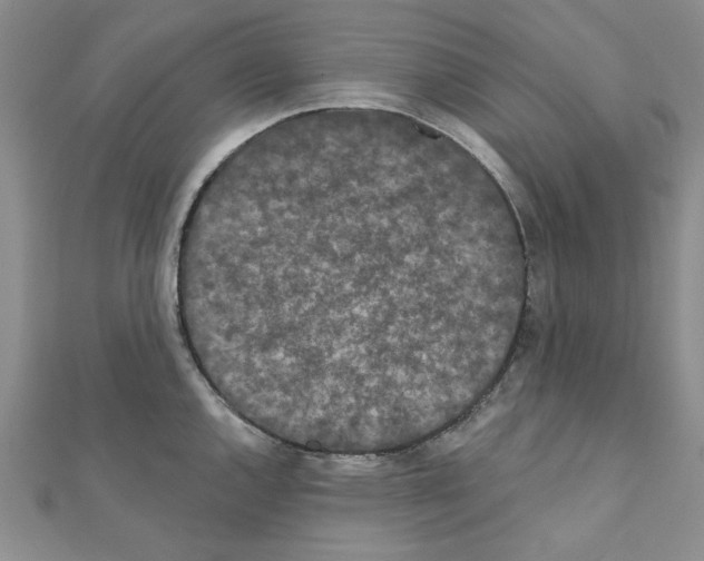 X0000110861144200907301346