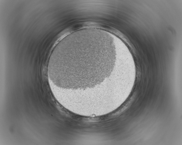 X0000110861145200907301346